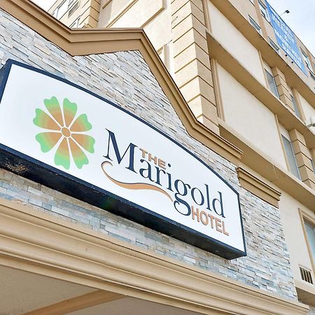 The Marigold Hotel Брамптън Екстериор снимка